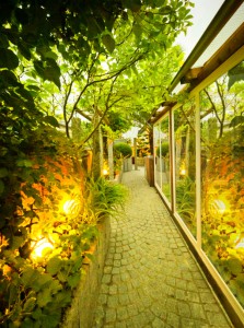 Landscape Lighting is a beneficial way to impress buyers with your home’s exterior features.
